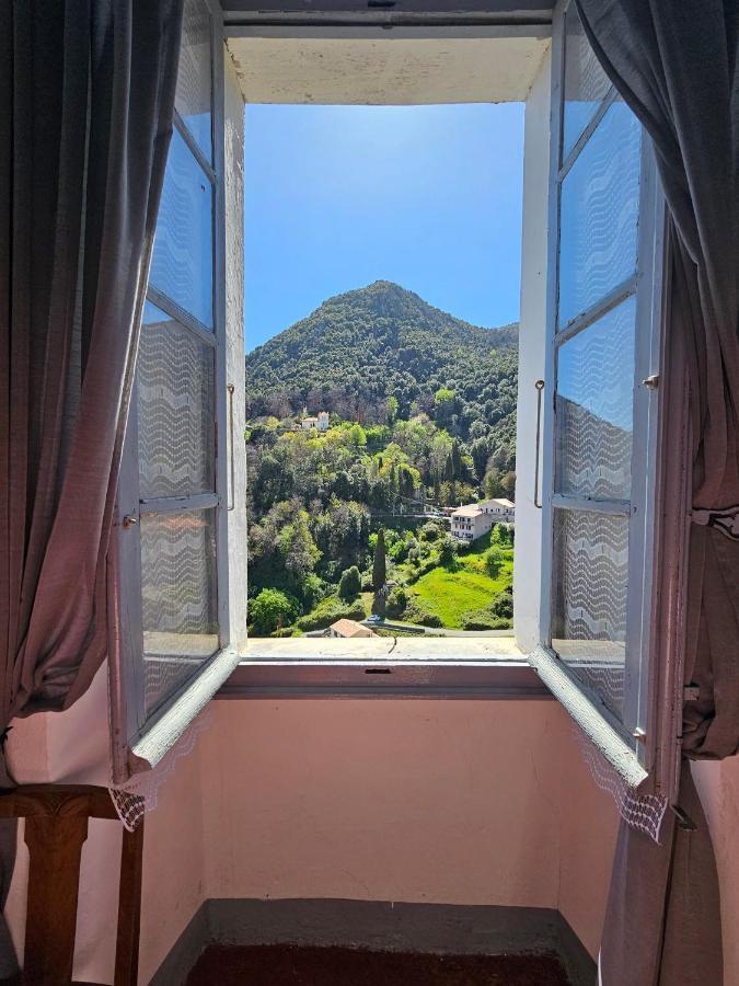 Palazzu Massoni, Magnifique Vue Sur La Mer Et La Montagne, Clim, Wifi, Parking Gratuit Cervione Luaran gambar